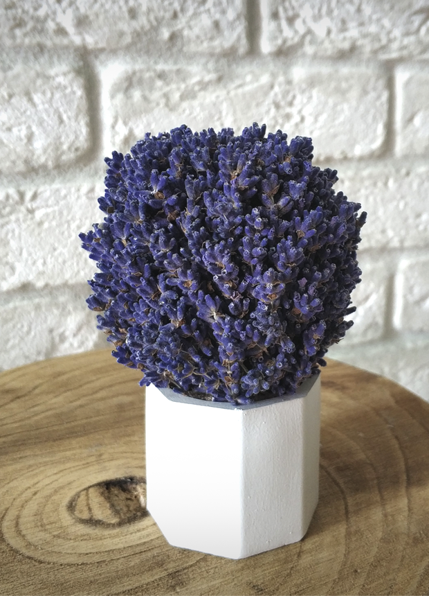 Composition of dried flowers "Lavender"