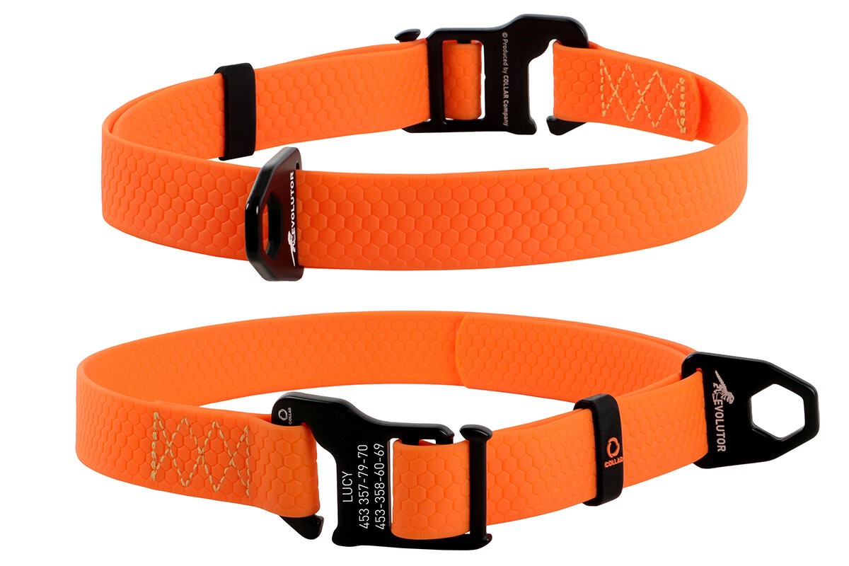 Collar COLLAR EVOLUTOR for dogs of medium, large and VERY large breeds
