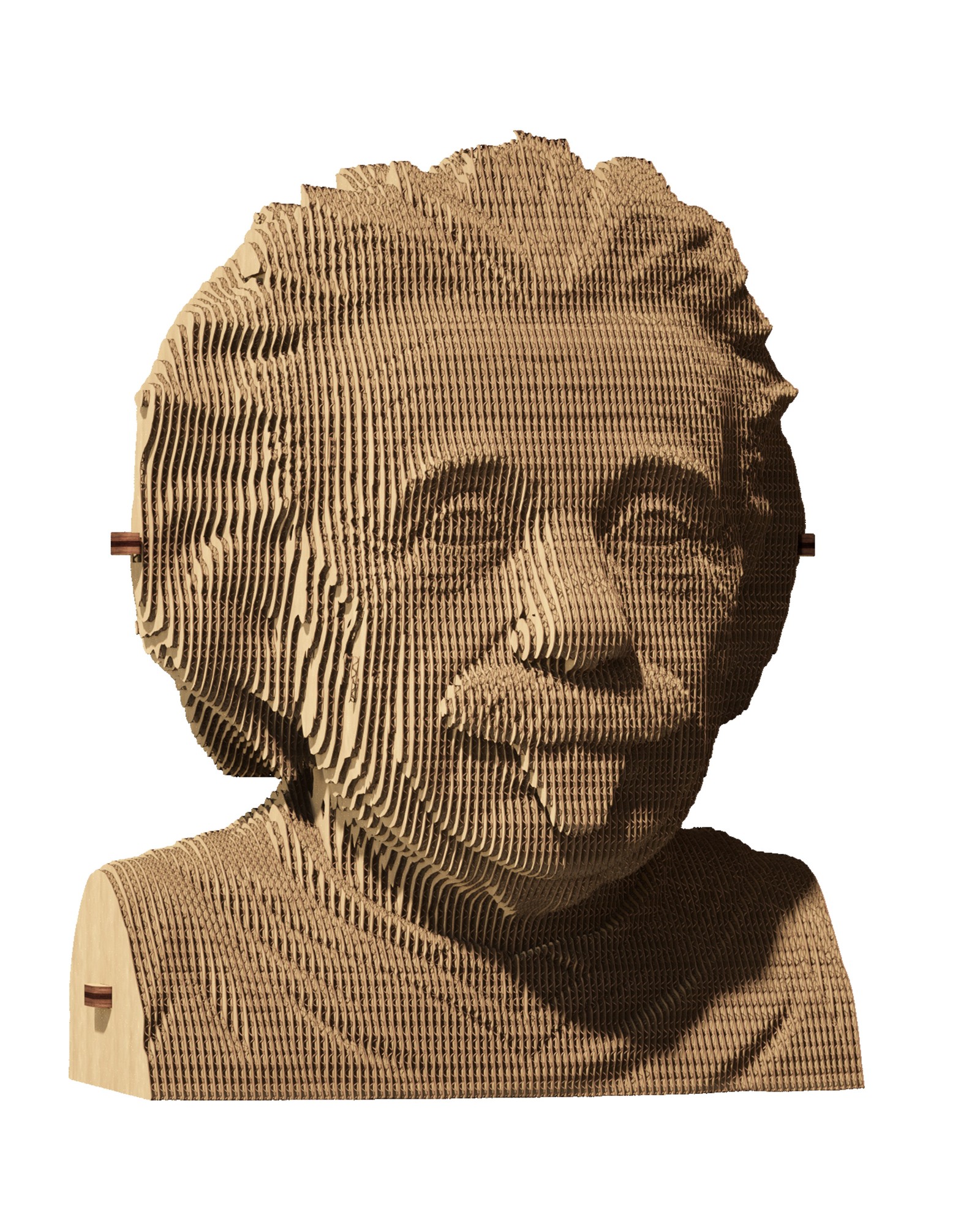 Celebridad casete posición 3d eco sculpture puzzle albert einstein - 21534 from Cartonic with donate  to u24