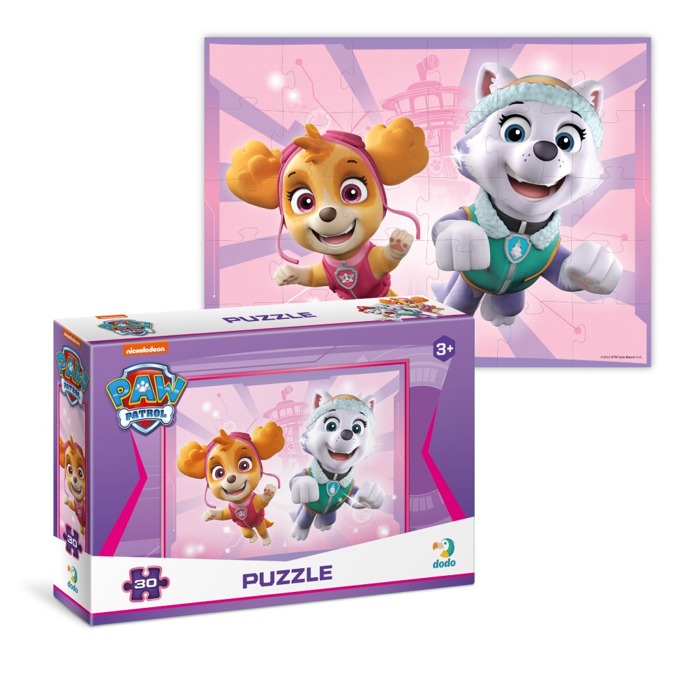 Paw Patrol Girls Lunch Set Pink 3 Piece Skye & Everest