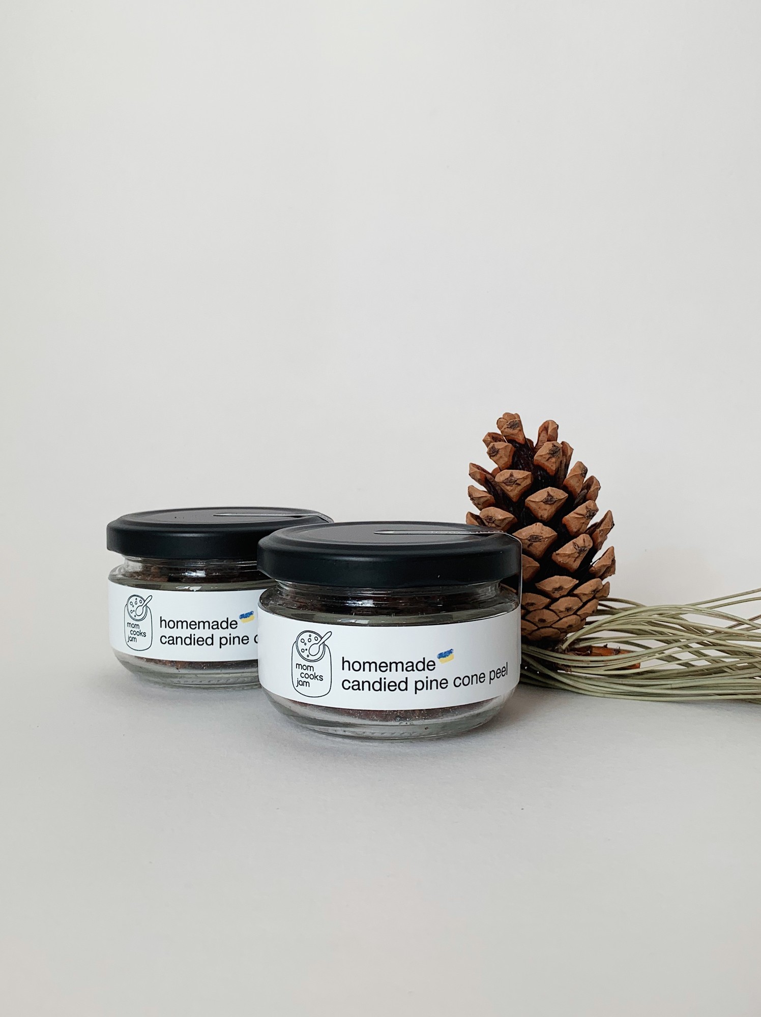 Are Pine Cones Good For Dogs