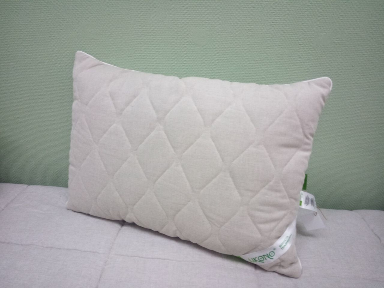 Hemp pillow «Extreme» 50x70