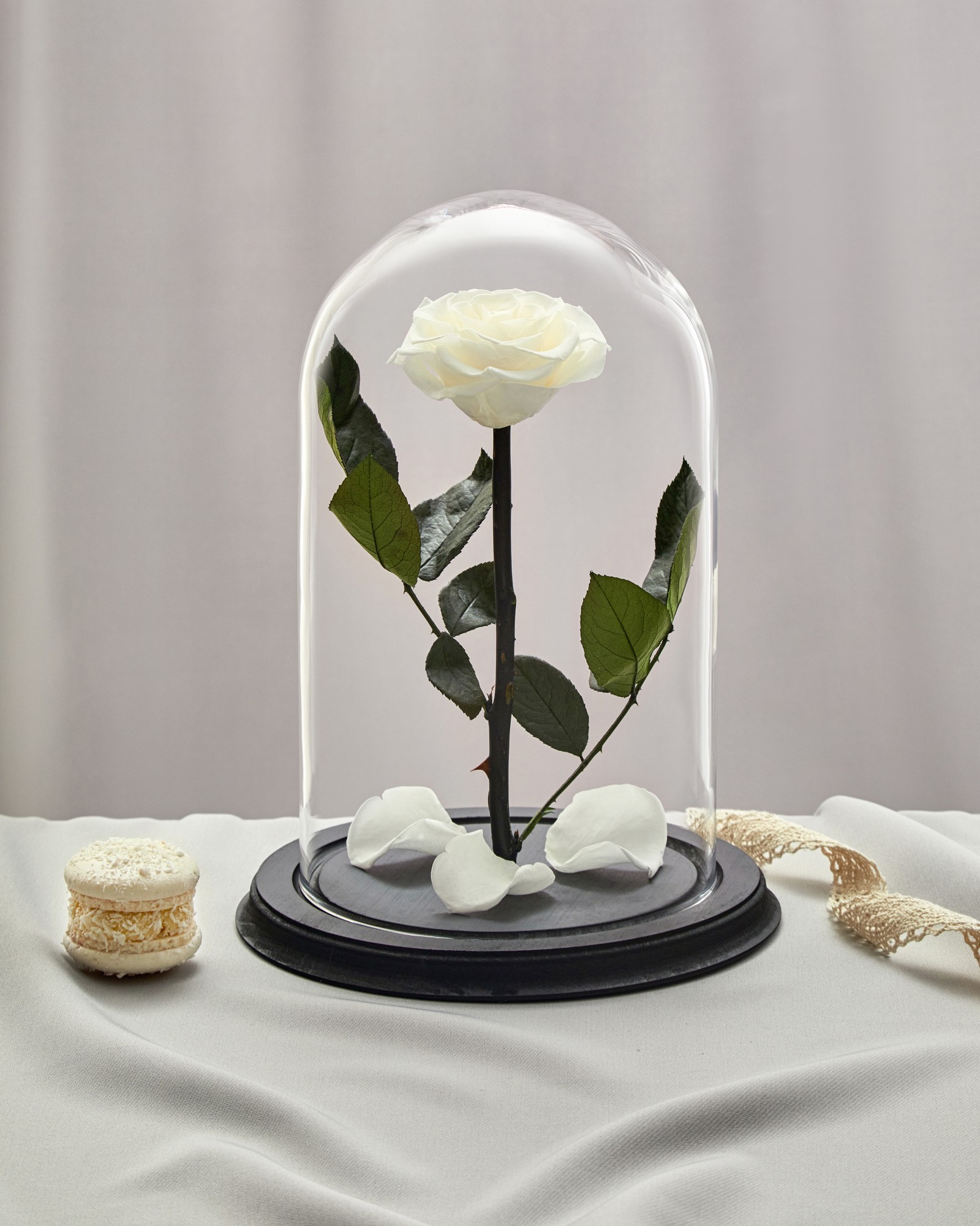 rose in glass dome white