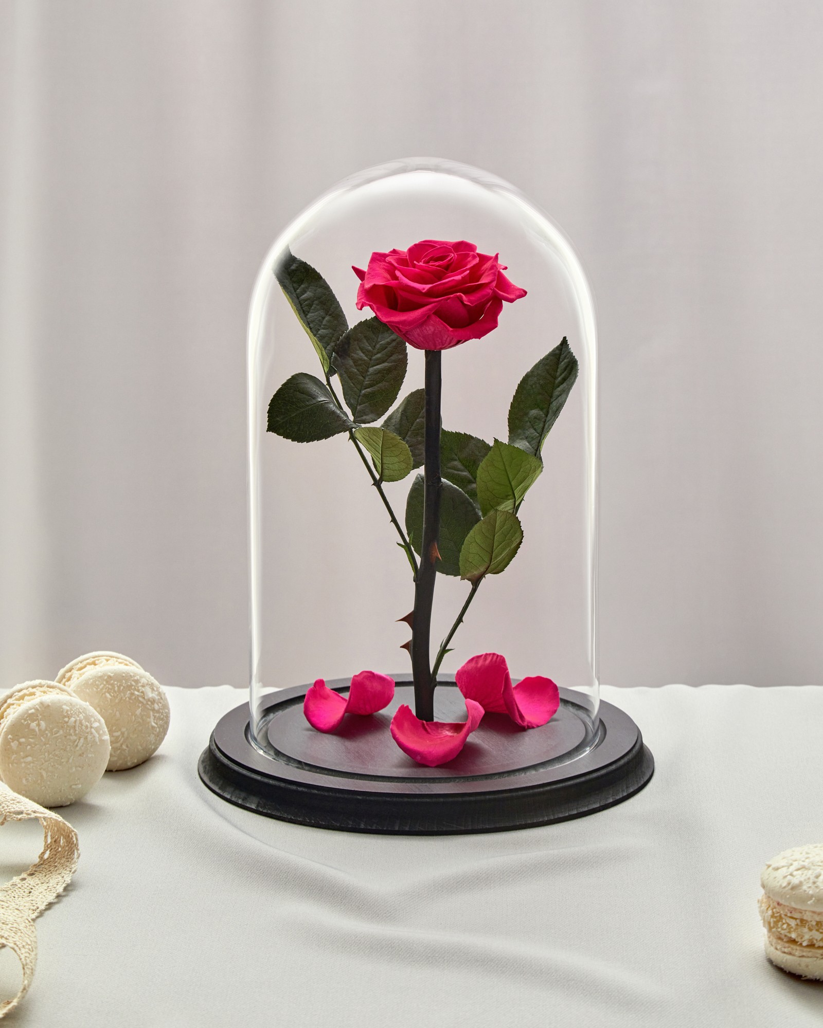 rose in glass dome fuchsia