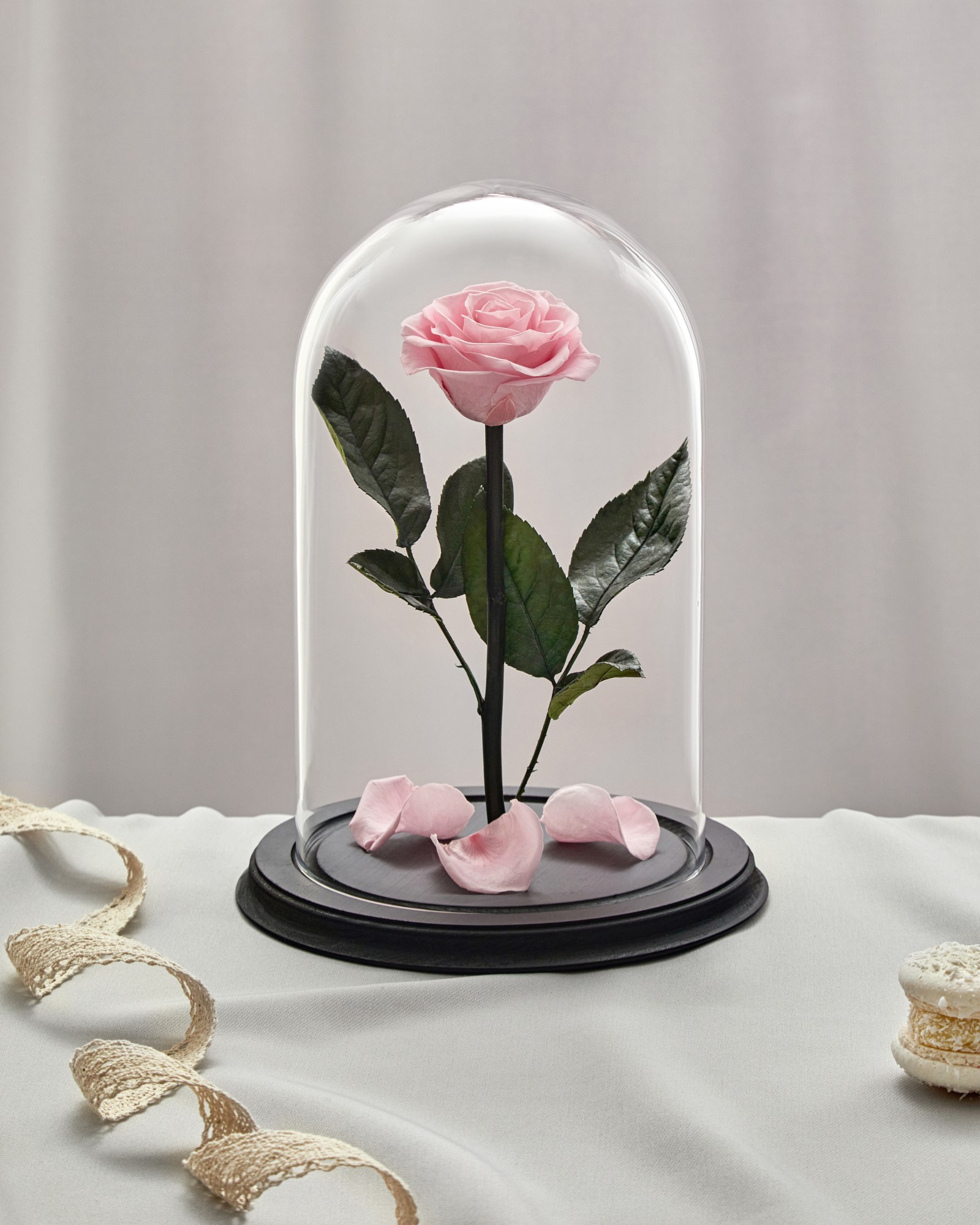 rose in glass dome light pink