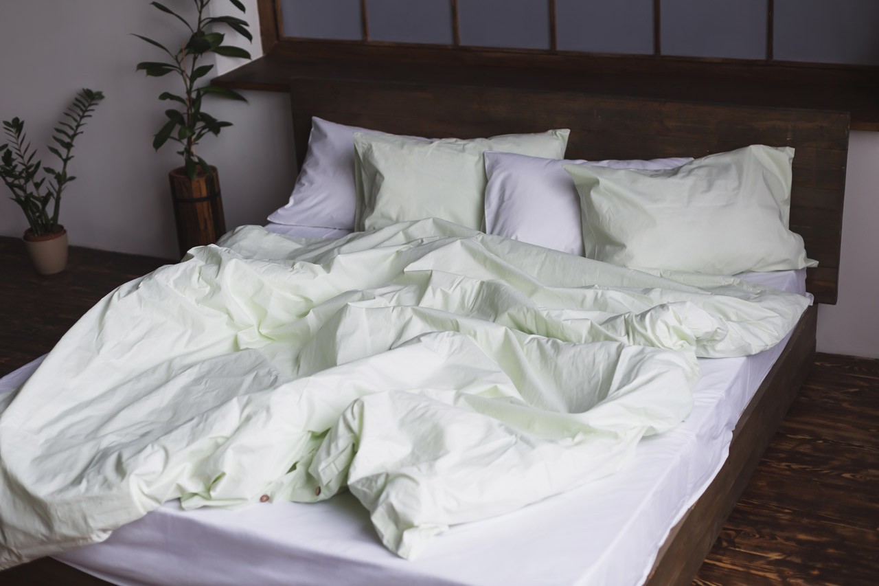 Cotton ranforce bedding set SHADOW LIME single bed