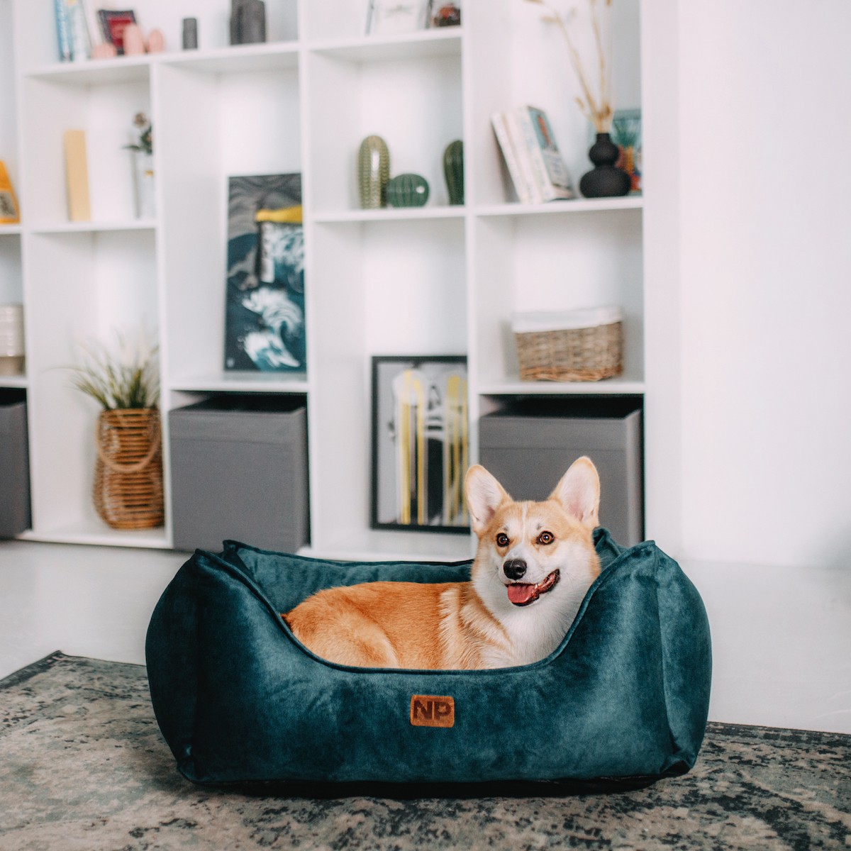 Dog bed Leon Green (LE2137/55)