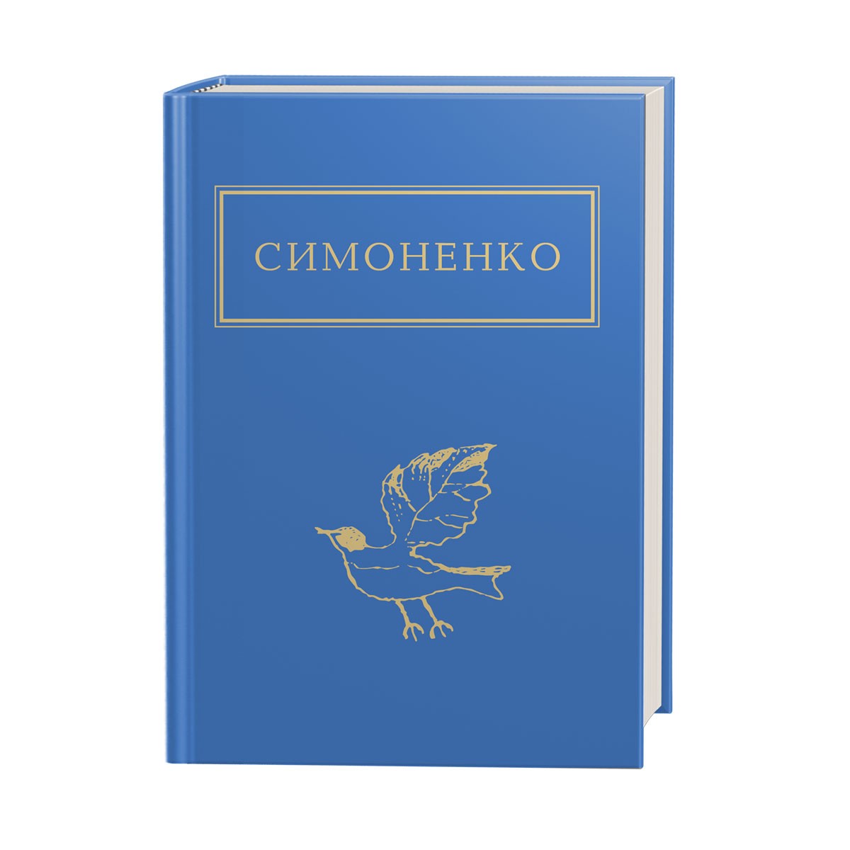 Book looking into your pupils. vasyl symonenko - 43138 from Creative 