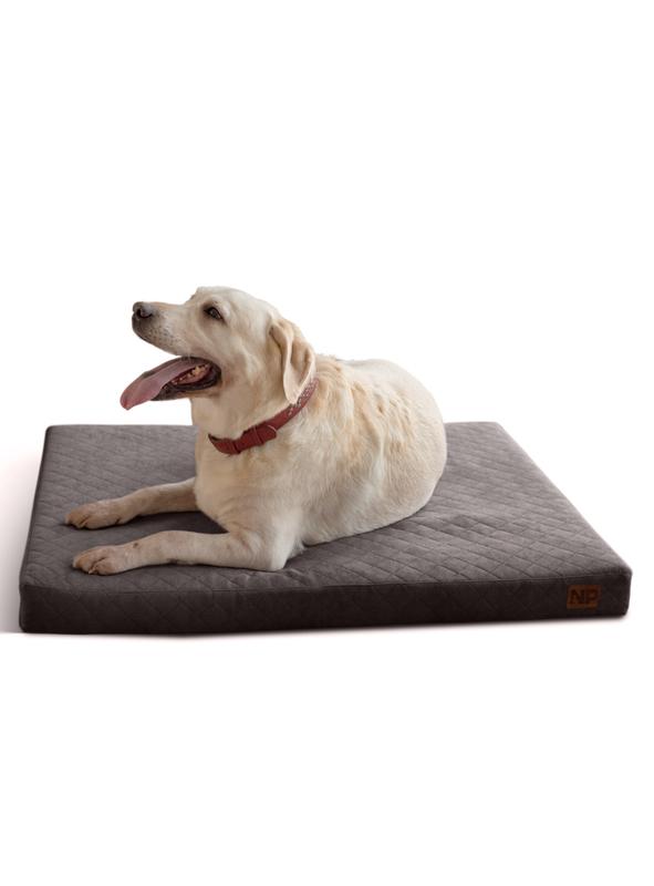 Guide Dogs Dog Bed — Guide Dogs Shop