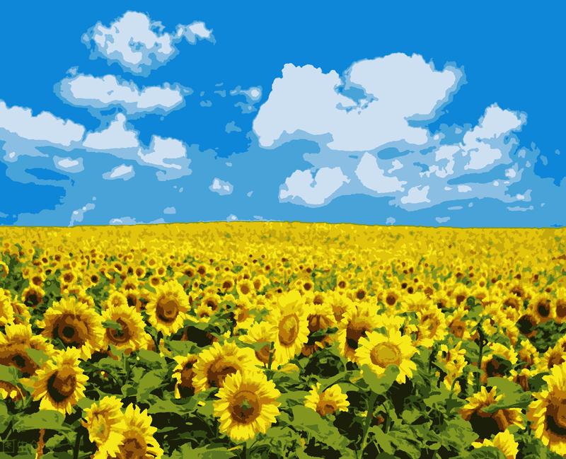 Paint by numbers gift idea kit diy painting kit on canvas with frame