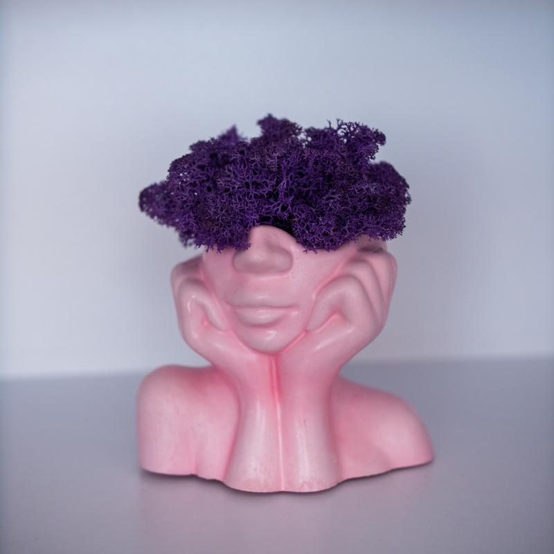 Elegant flower pot lady with violet moss, which brings good luck