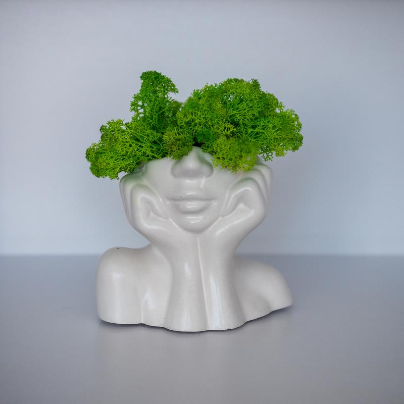 Elegant flower pot lady with light green moss, which brings good luck
